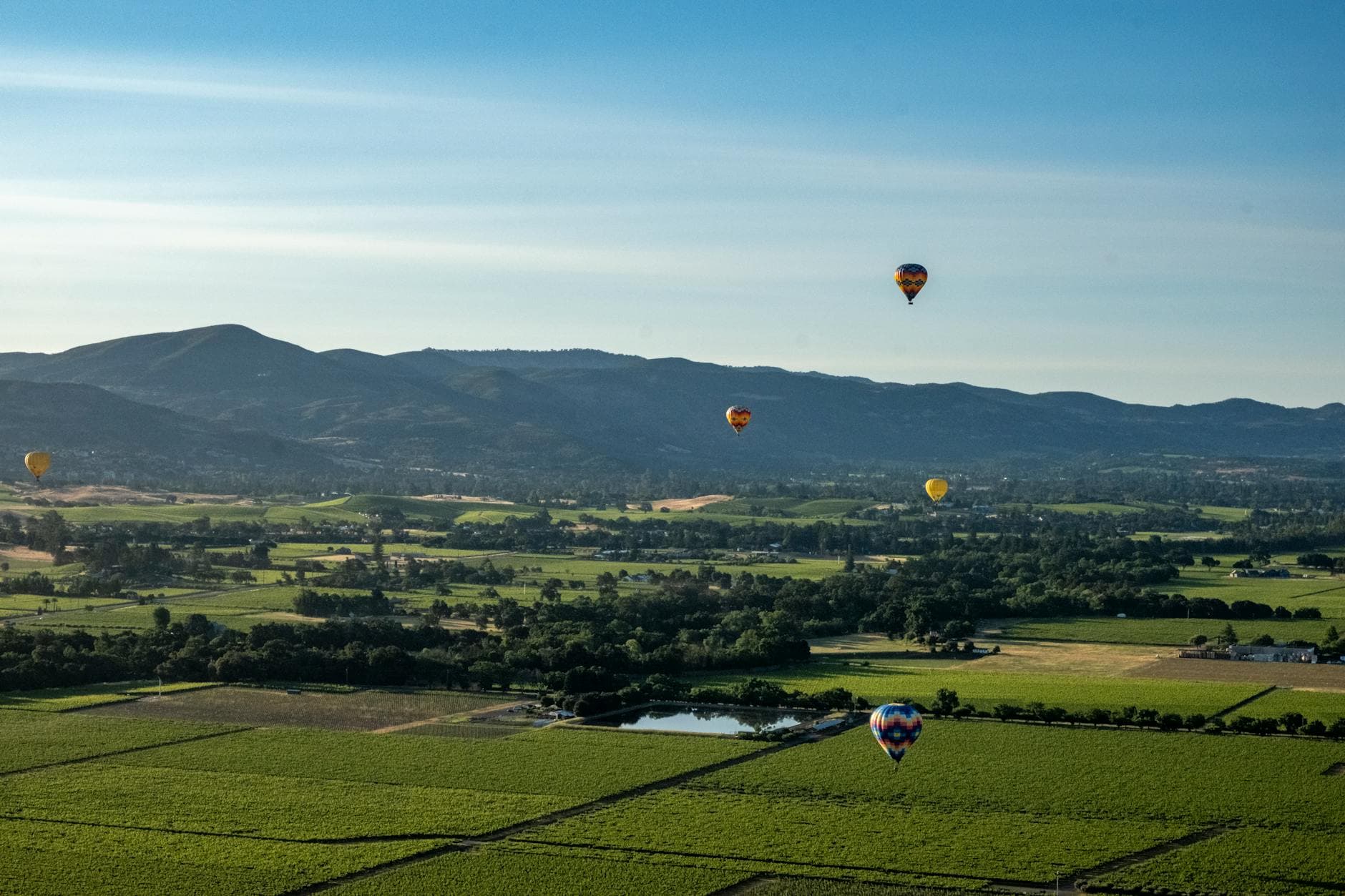Napa vs Sonoma: Which Wine Region Should You Visit?