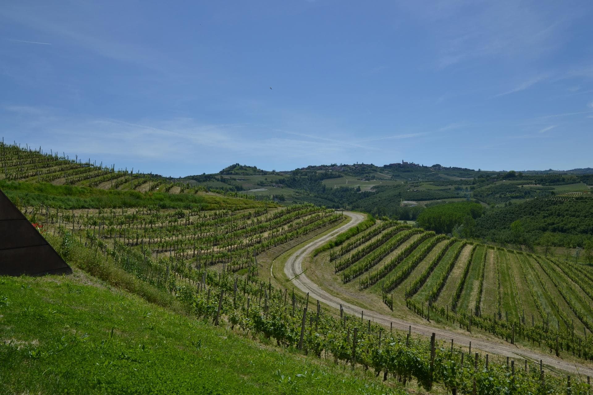 Rolling vineyard hills in the Langhe region of Piedmont, Italy with rows of Nebbiolo vines stretching to the horizon