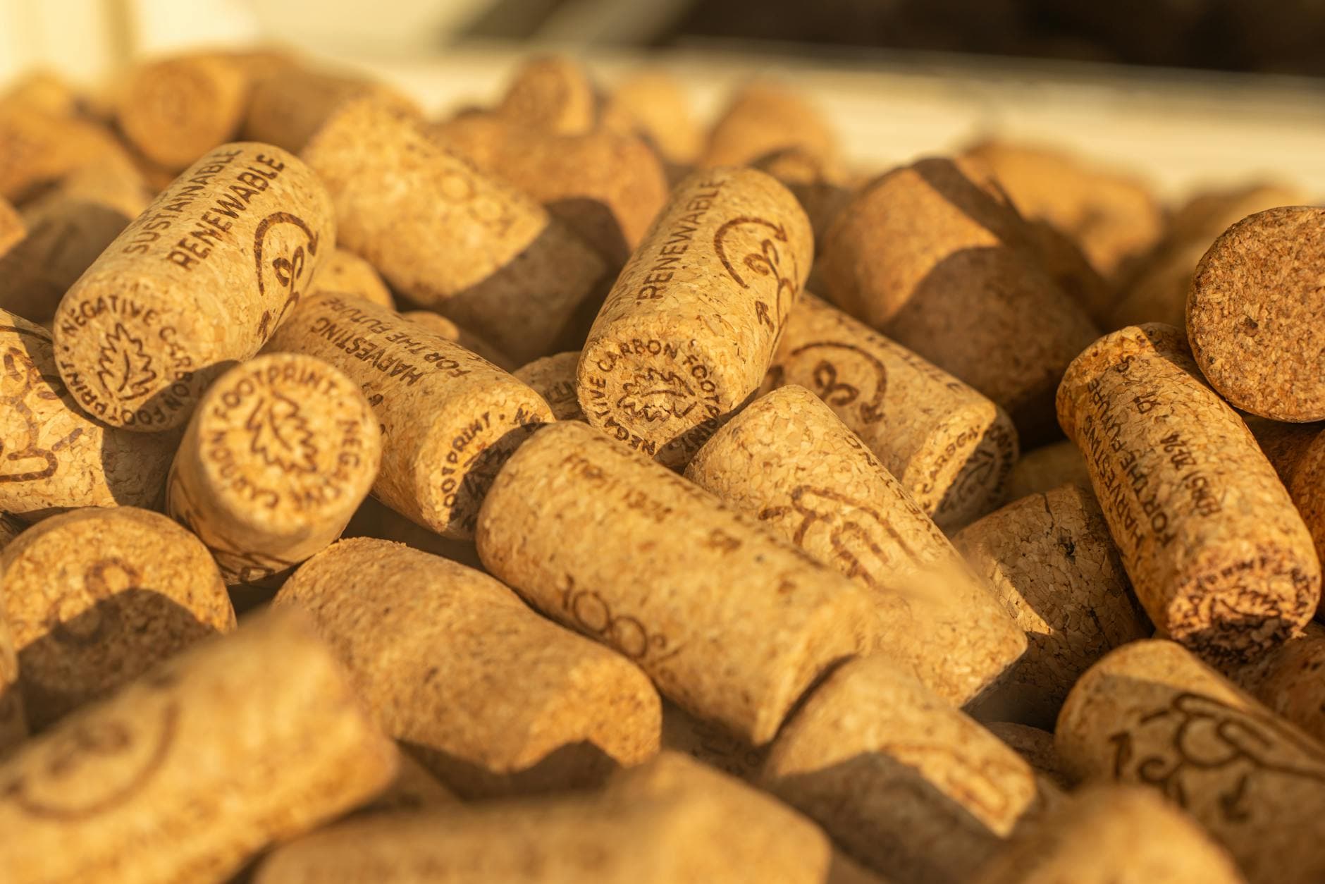 A close-up of wine corks with producer stamps and vintage markings